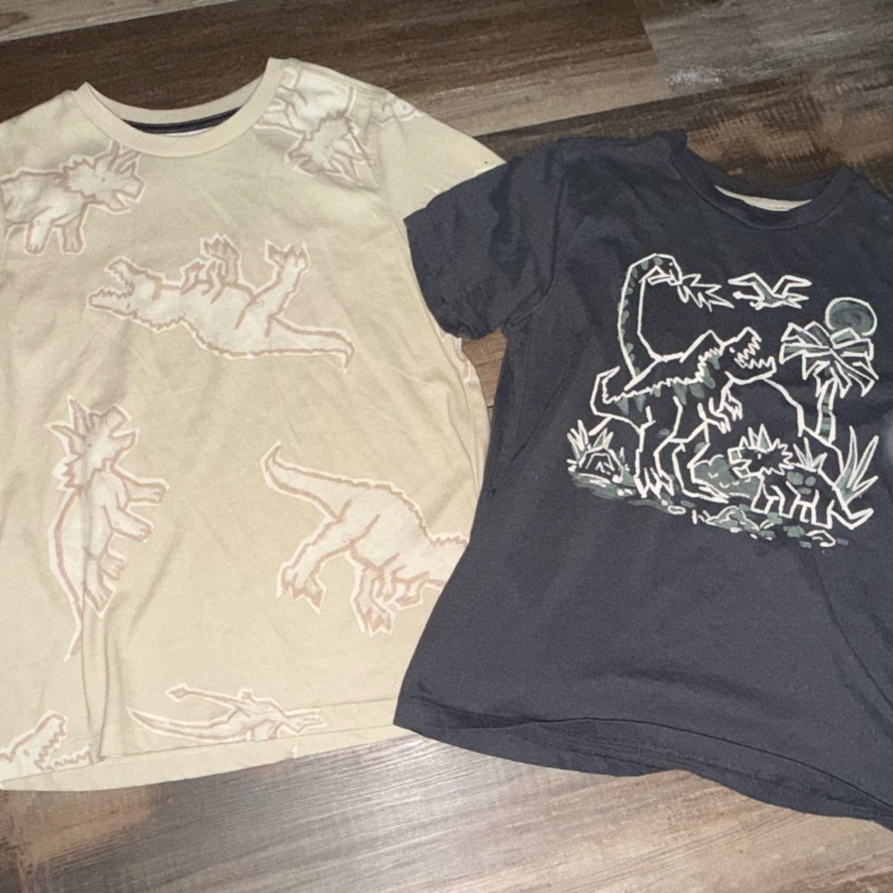 Kids Dinosaur Graphic Tees - Cream and Gray